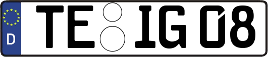 TE-IG08
