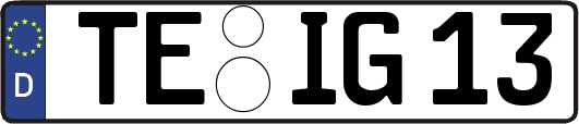 TE-IG13