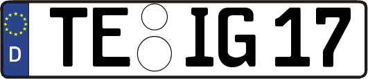 TE-IG17