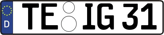 TE-IG31