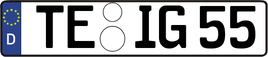 TE-IG55