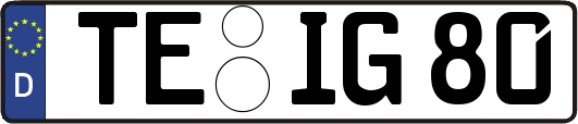TE-IG80