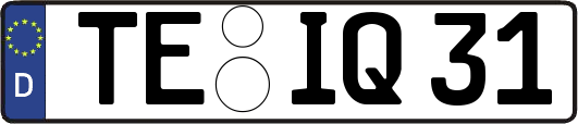 TE-IQ31