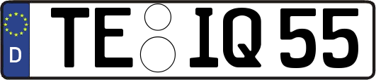 TE-IQ55