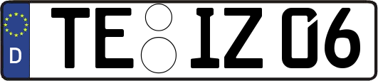 TE-IZ06