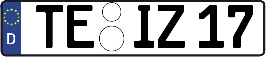 TE-IZ17