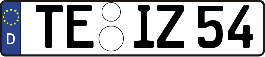 TE-IZ54