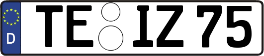 TE-IZ75