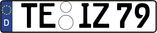TE-IZ79