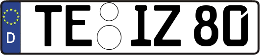 TE-IZ80