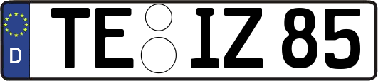 TE-IZ85