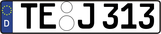 TE-J313