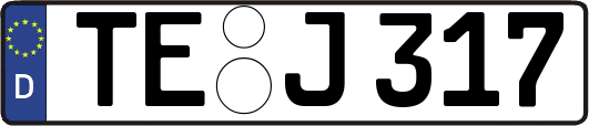 TE-J317