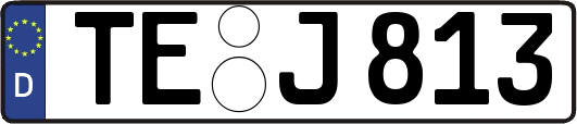 TE-J813