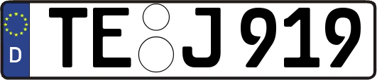 TE-J919
