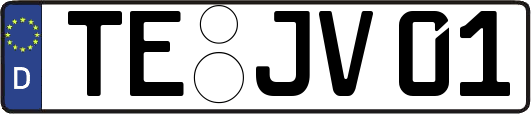 TE-JV01