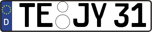 TE-JY31