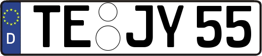 TE-JY55