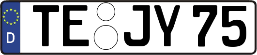 TE-JY75