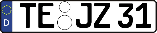 TE-JZ31
