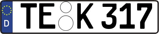 TE-K317