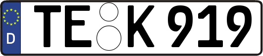TE-K919