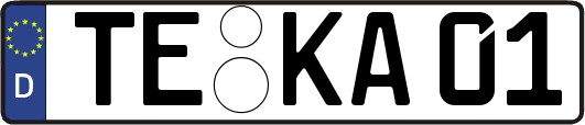 TE-KA01