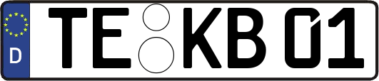 TE-KB01