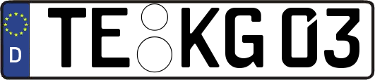 TE-KG03