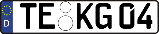 TE-KG04