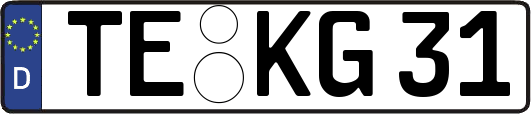 TE-KG31