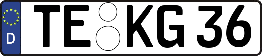 TE-KG36