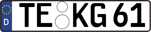 TE-KG61