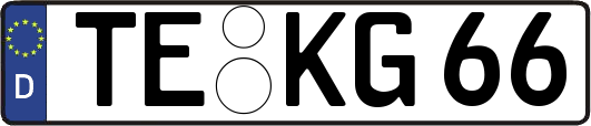 TE-KG66