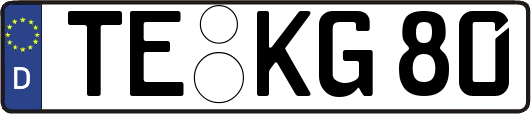 TE-KG80