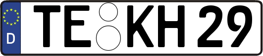TE-KH29
