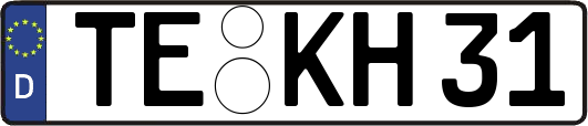 TE-KH31