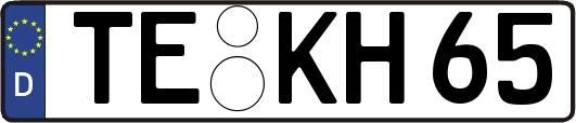 TE-KH65