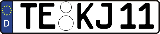 TE-KJ11