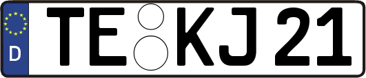 TE-KJ21