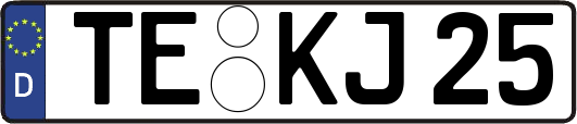 TE-KJ25