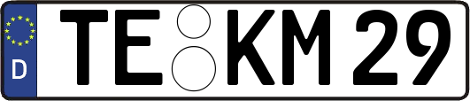 TE-KM29