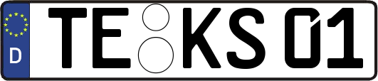 TE-KS01
