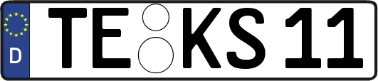 TE-KS11