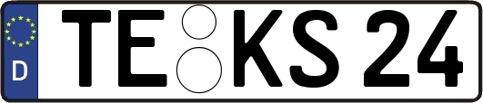 TE-KS24