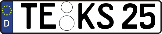 TE-KS25