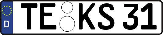 TE-KS31