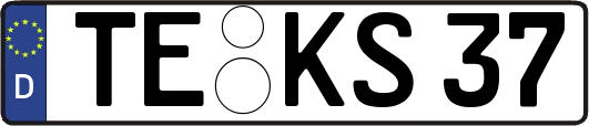 TE-KS37