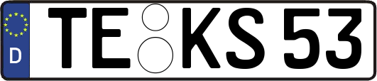 TE-KS53