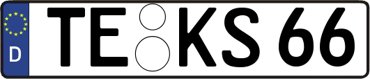 TE-KS66